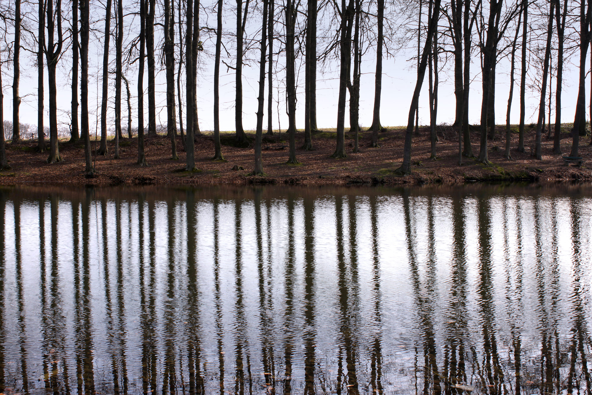 Reflection Trees