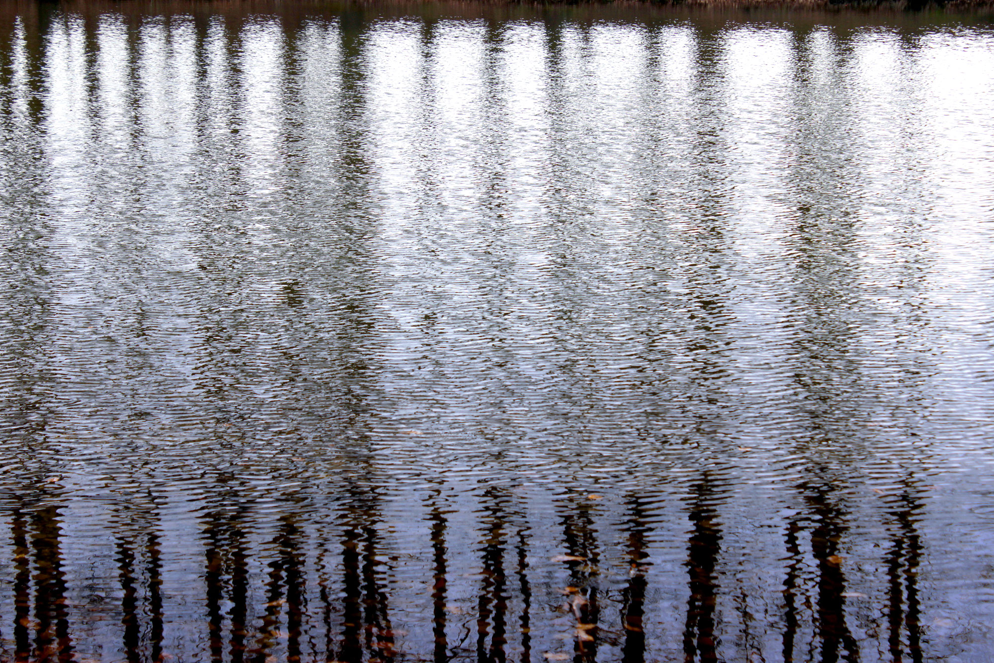 Wasser Spiegelung