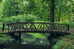 Brücke Wald