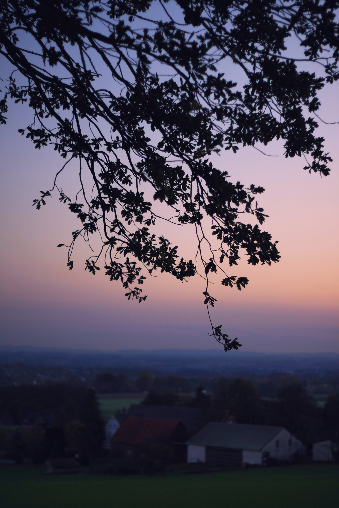 Houses Sunset