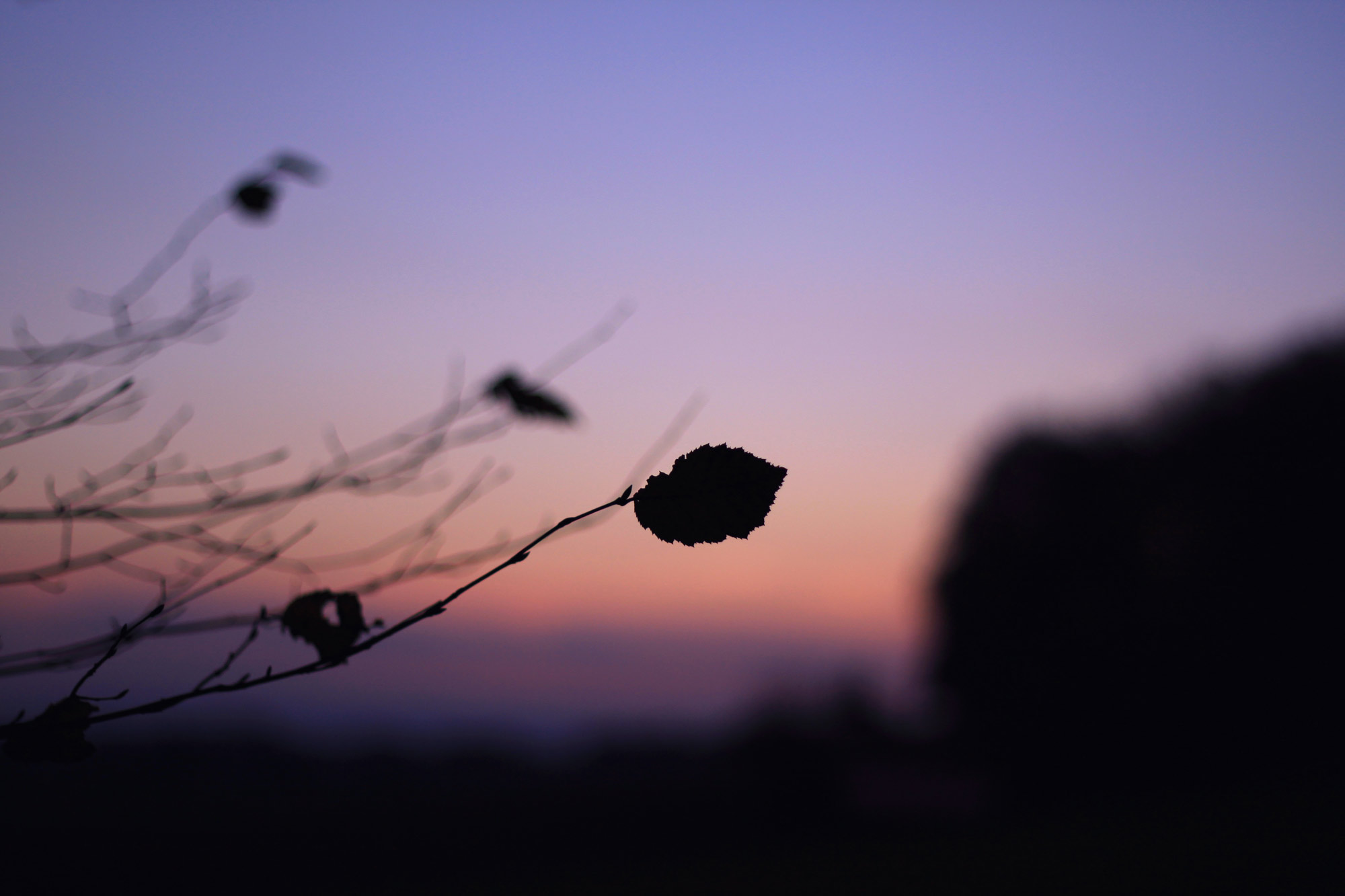 Herbst Sonnenuntergang