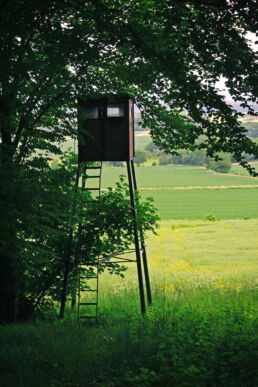 Hochsitz Hochstand