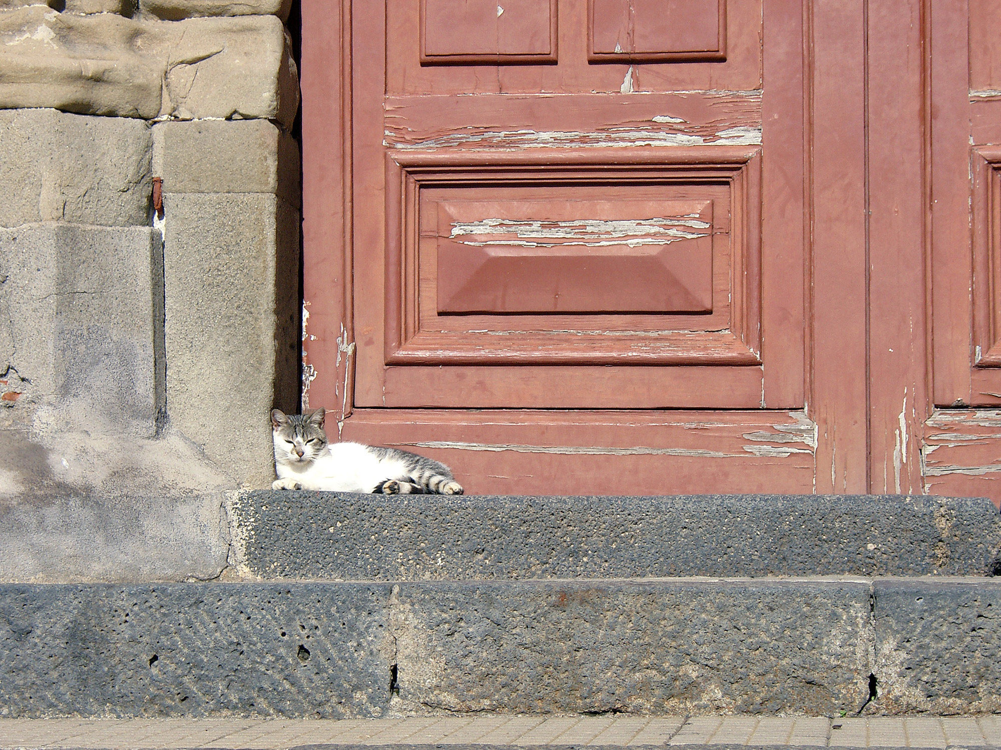 Cat Church Entrance