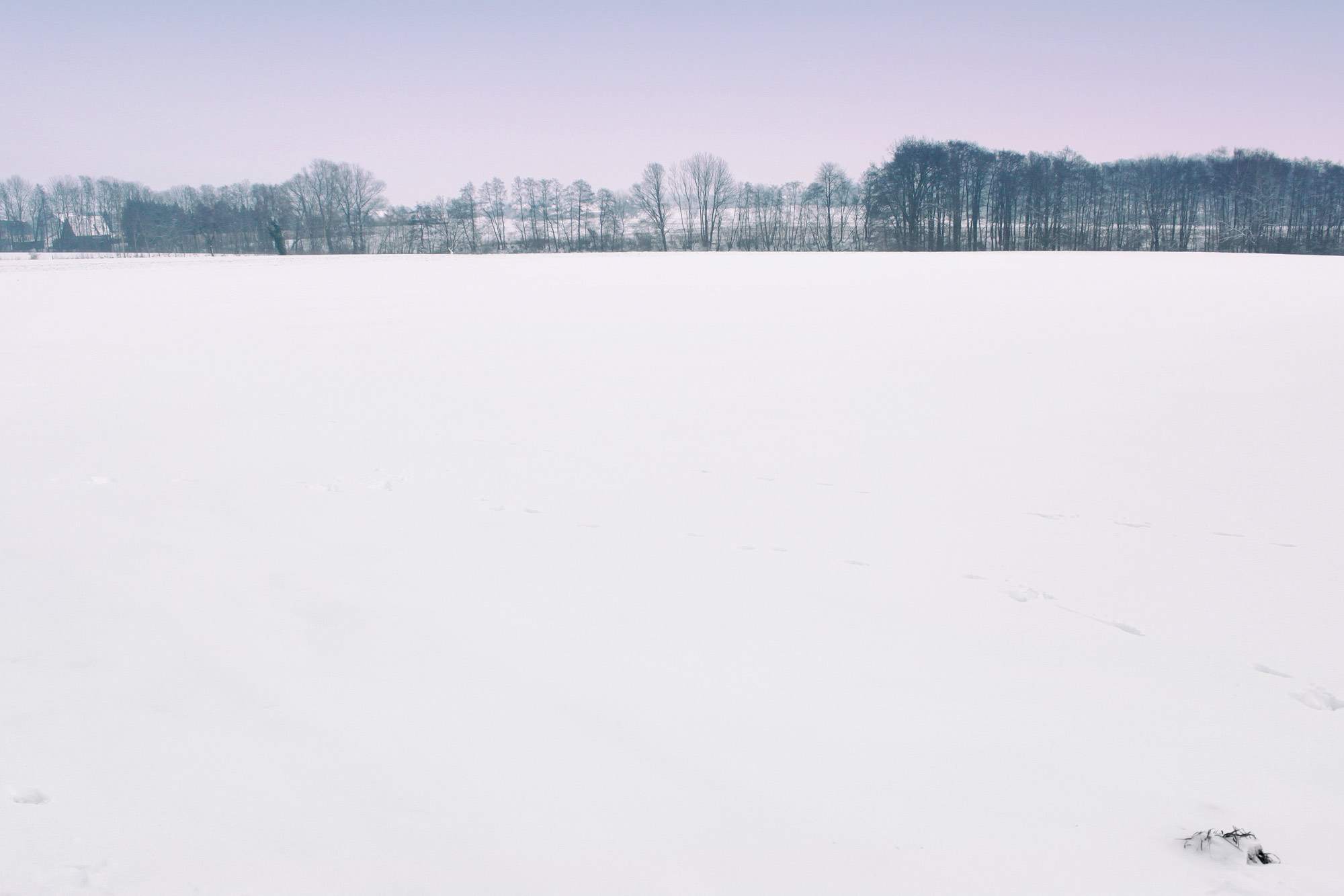 Schneelandschaft Felder