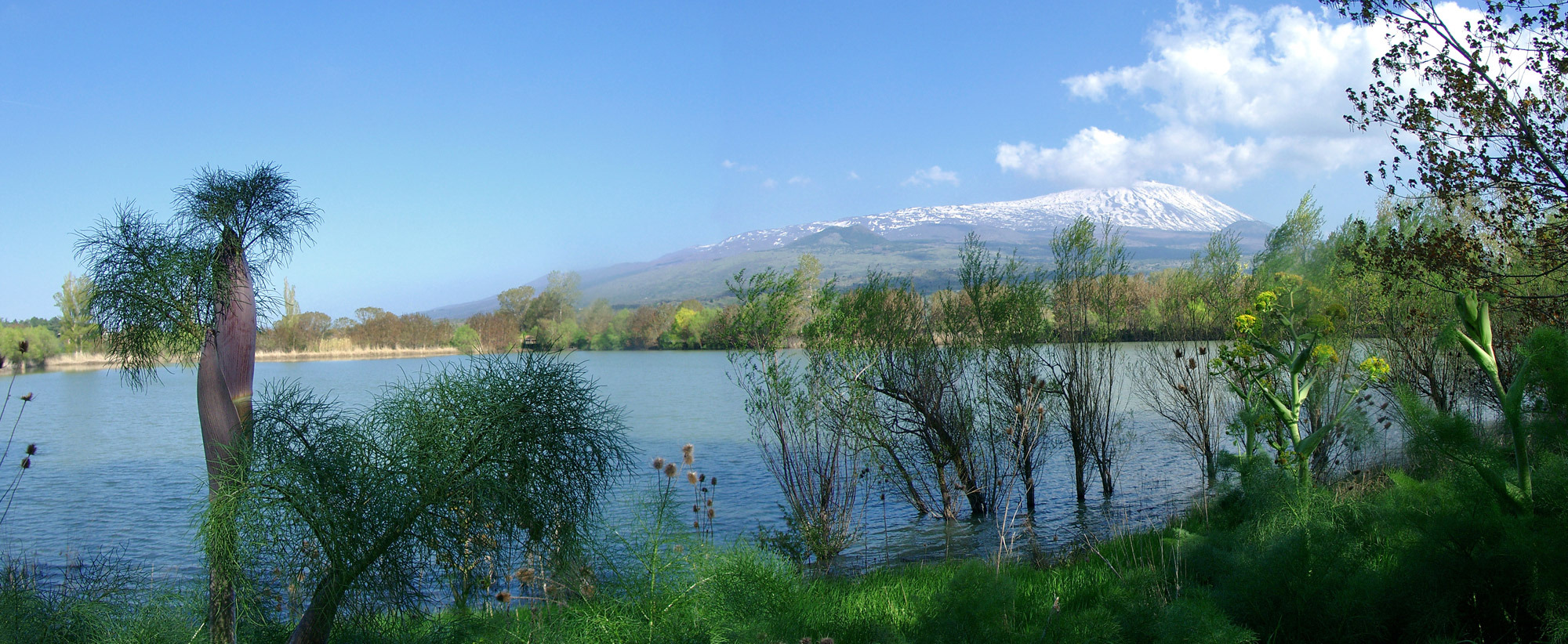 Landscape Mount Etna
