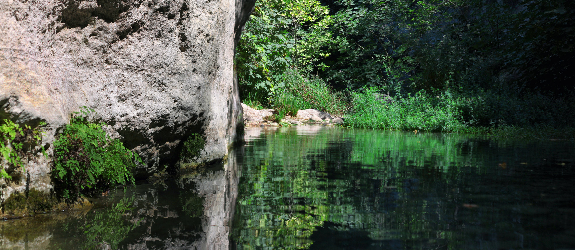 Fluss Natur