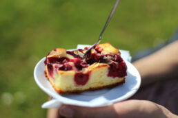 Kuchenstück auf Teller