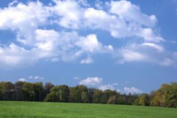 Landschaft Bäume