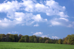 Landschaft Bäume