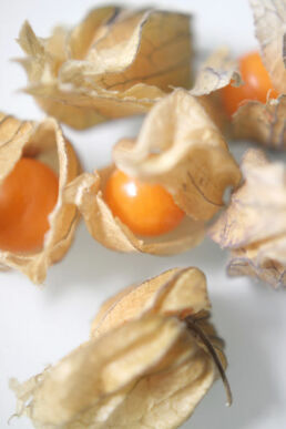 Physalis Kapstachelbeeren