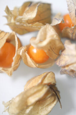 Physalis Kapstachelbeeren