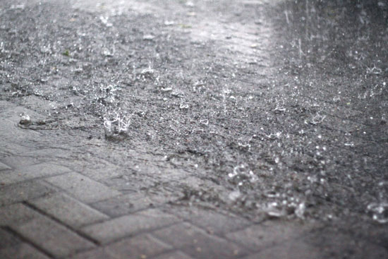 Regen Regentropfen - Bilder kostenlos zum Download | Titania Foto