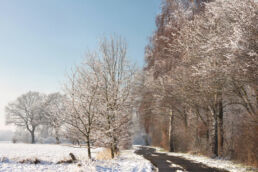 Schneelandschaft Strasse