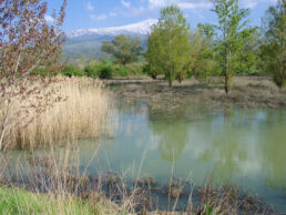 See Landschaft Ätna