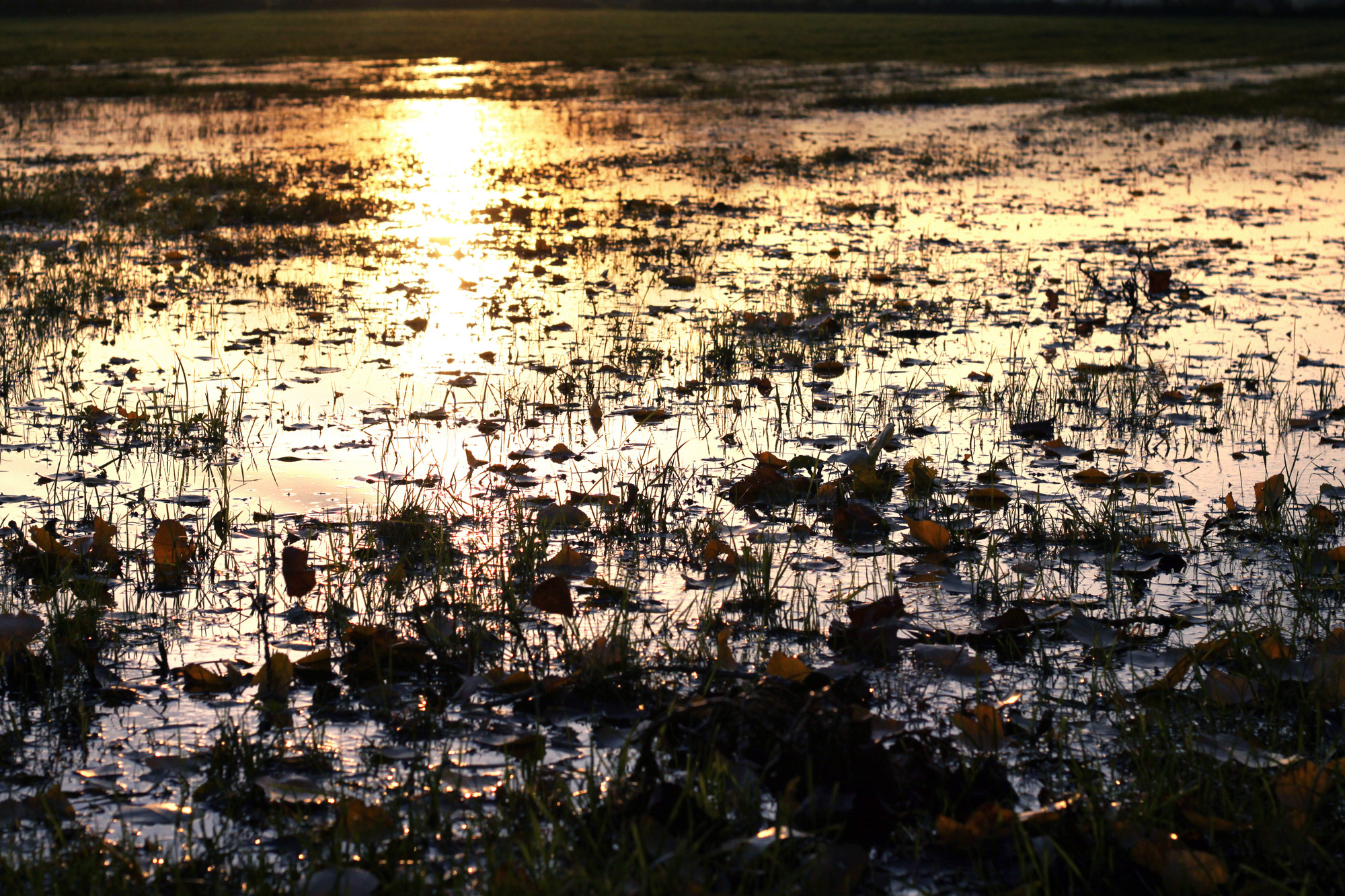 Sunset Water