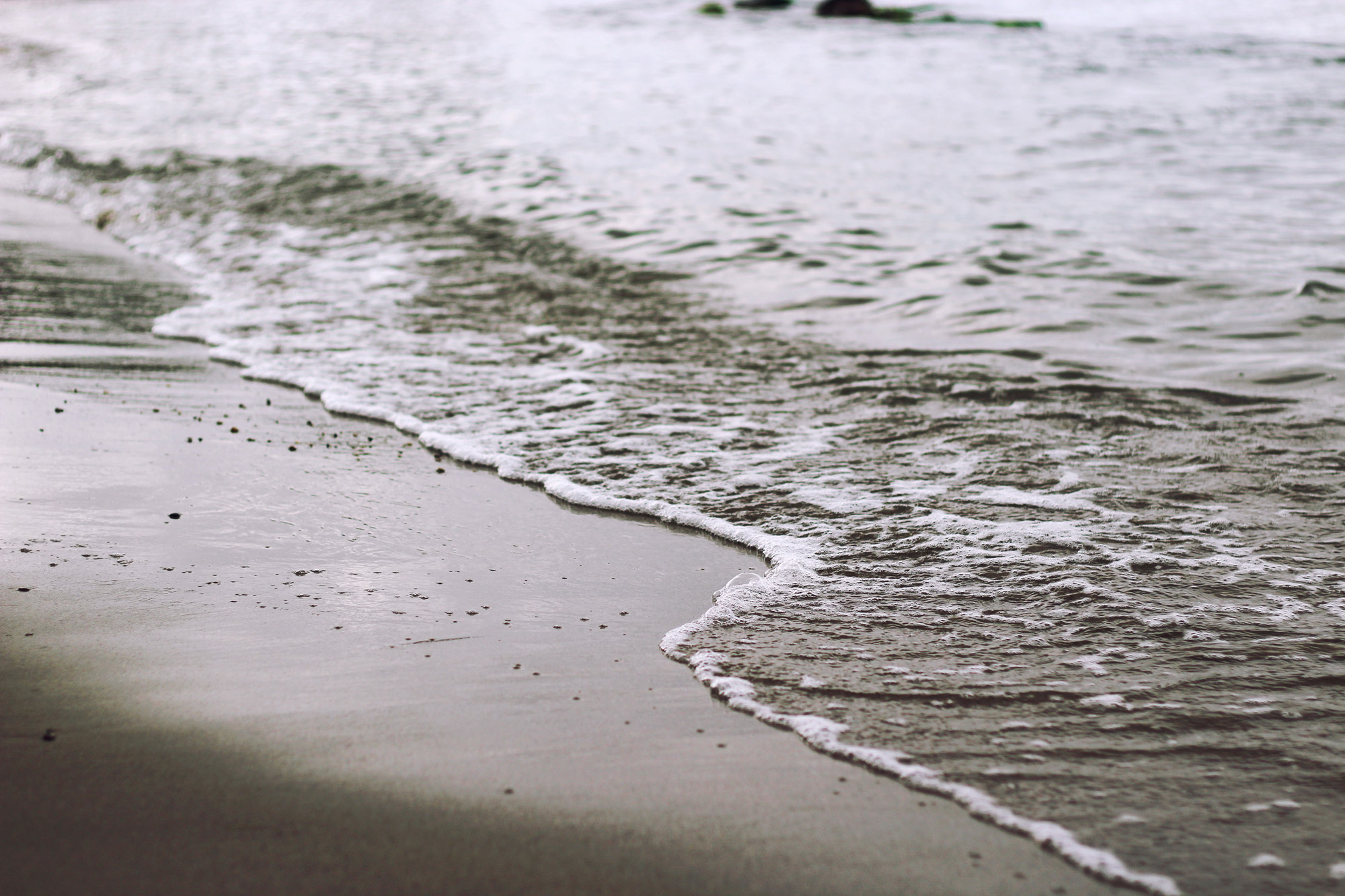 Beach Spume