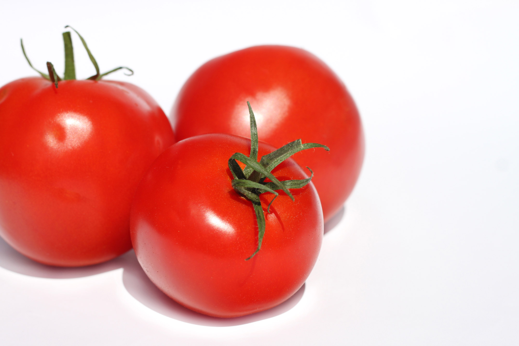 Tomatoes
