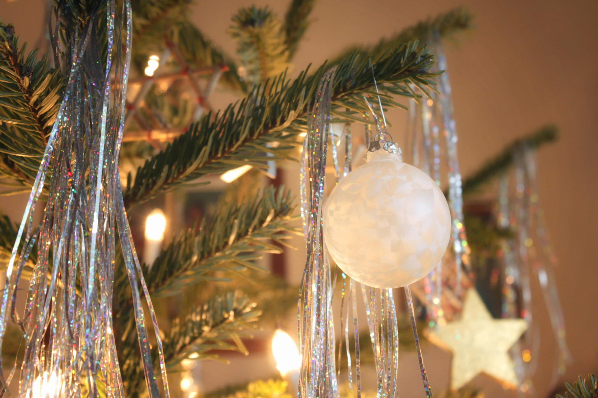 Weihnachtsbaum Weihnachten