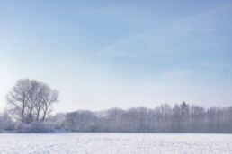 Schneelandschaft Bäume