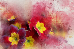 Blumen Aquarell