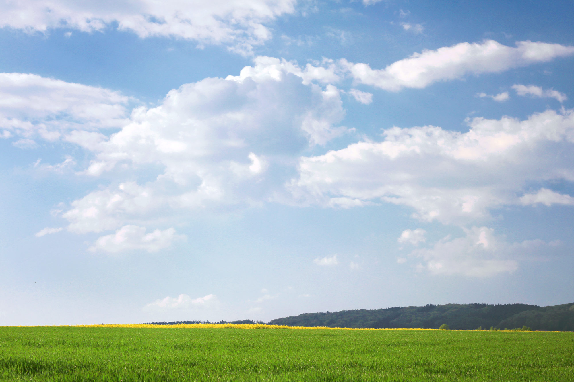 Blauer Himmel Wiese